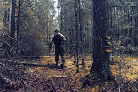 Купить диплом Егеря, лесника в Череповце