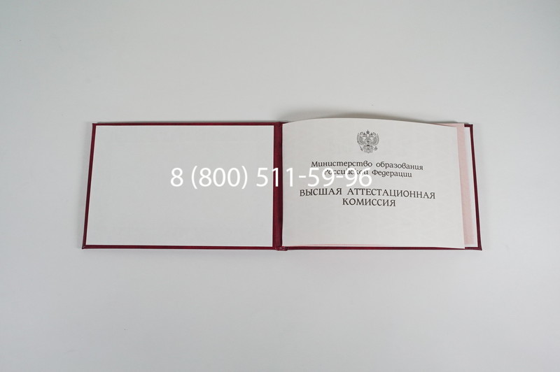 Диплом доктора наук 1995-2006 года в Череповце Диплом доктора наук 1995-2006 года в Череповце