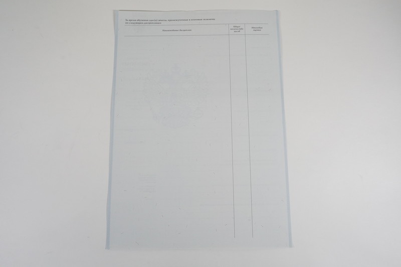 Диплом о начальном образовании 2007-2009 годов в Череповце Диплом о начальном образовании 2007-2009 годов в Череповце